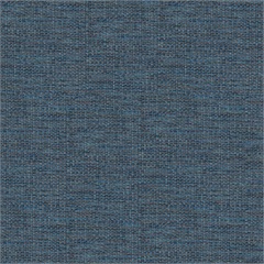 Notion Crypton Upholstery Fabric